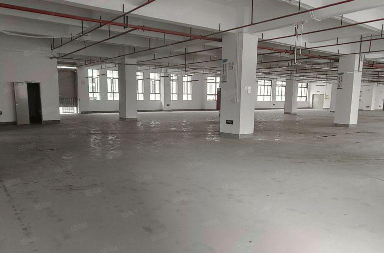 （出租）大井头楼上整层1360平方，实际面积出租，现成装修