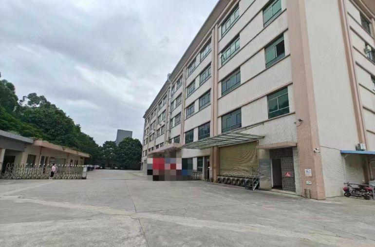 原房东实际面积4000平方9米高标准一楼直租