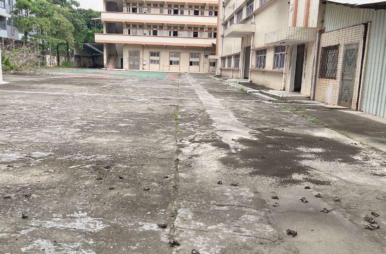 出租|大朗独院厂房低价原房东直招，专为特殊环评客户准备