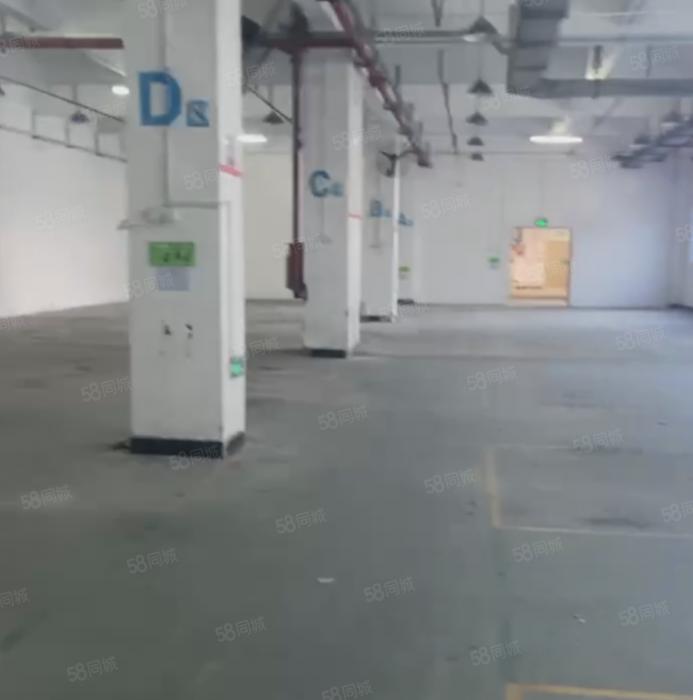 大朗靠松山湖独院6000平标准厂房仓库出租 工业用地