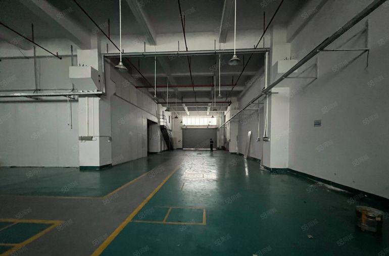 大朗象山工业城重工业厂房1楼6.5米带牛角800平厂房出租