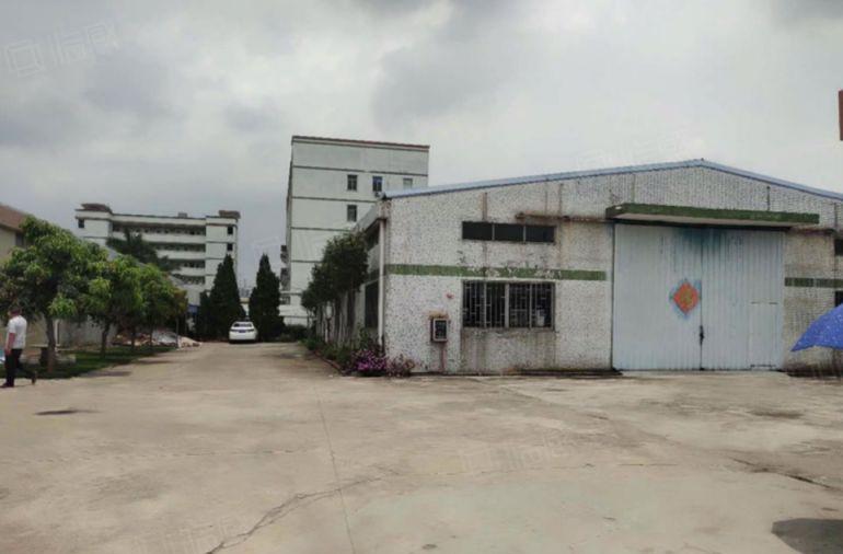 大朗新空单一层钢构厂房出租，800平实际面积空地大原房东