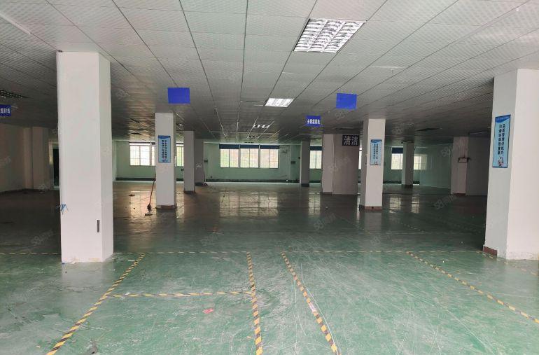 大朗松山湖精装1400平厂房诚意出租 配电按需 园区停车免费