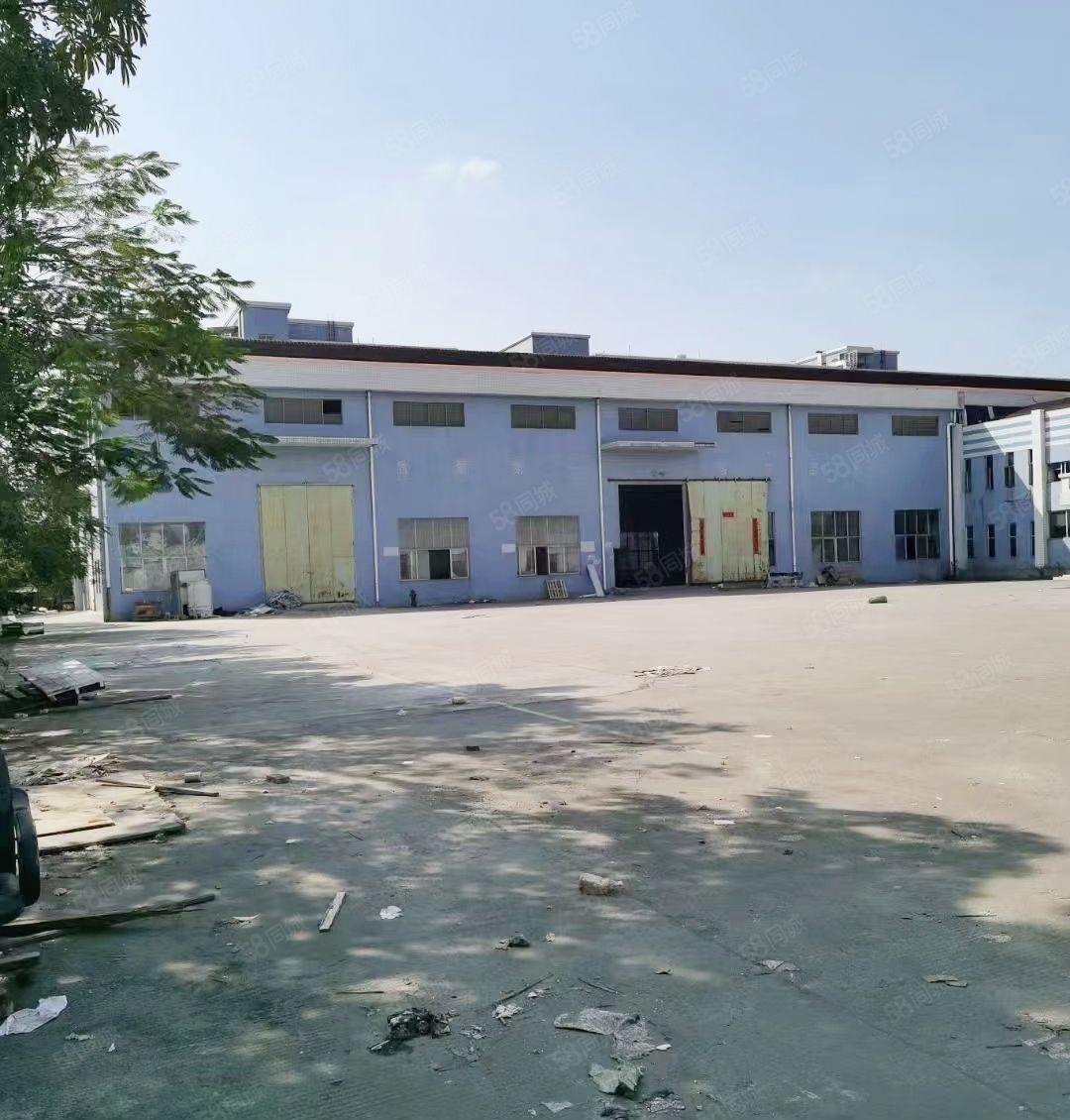 大朗镇钢构厂房1200平 滴水9米 只租15块。