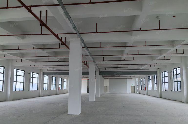 大朗一手房东全新红本独门独院厂房仓库出租适合新能源新材料产业