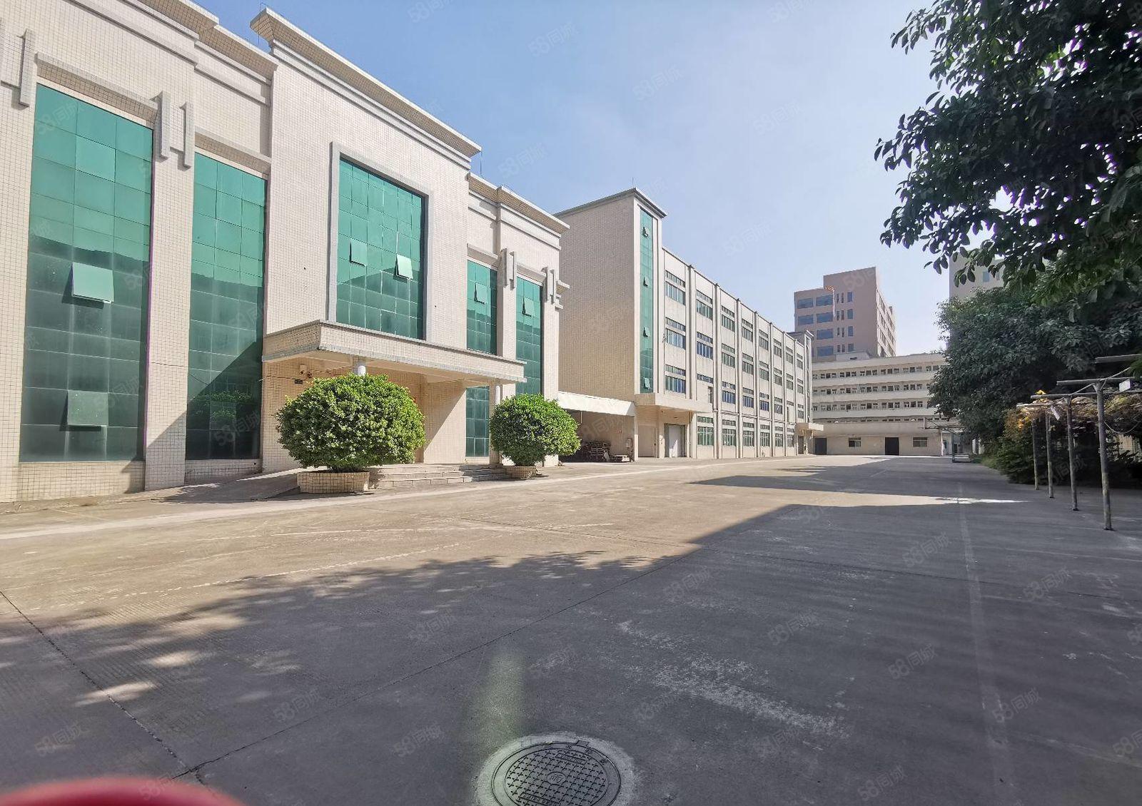 大朗11000平方原房东独院厂房急租 价格便宜