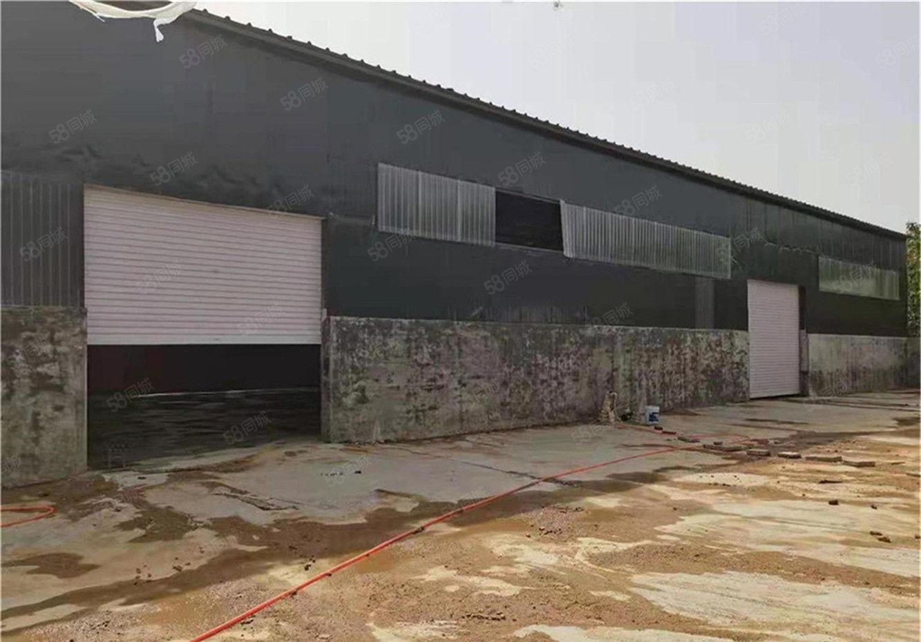 大朗原房东独院钢构厂房出租单一层750平方，超大空地仓库多用