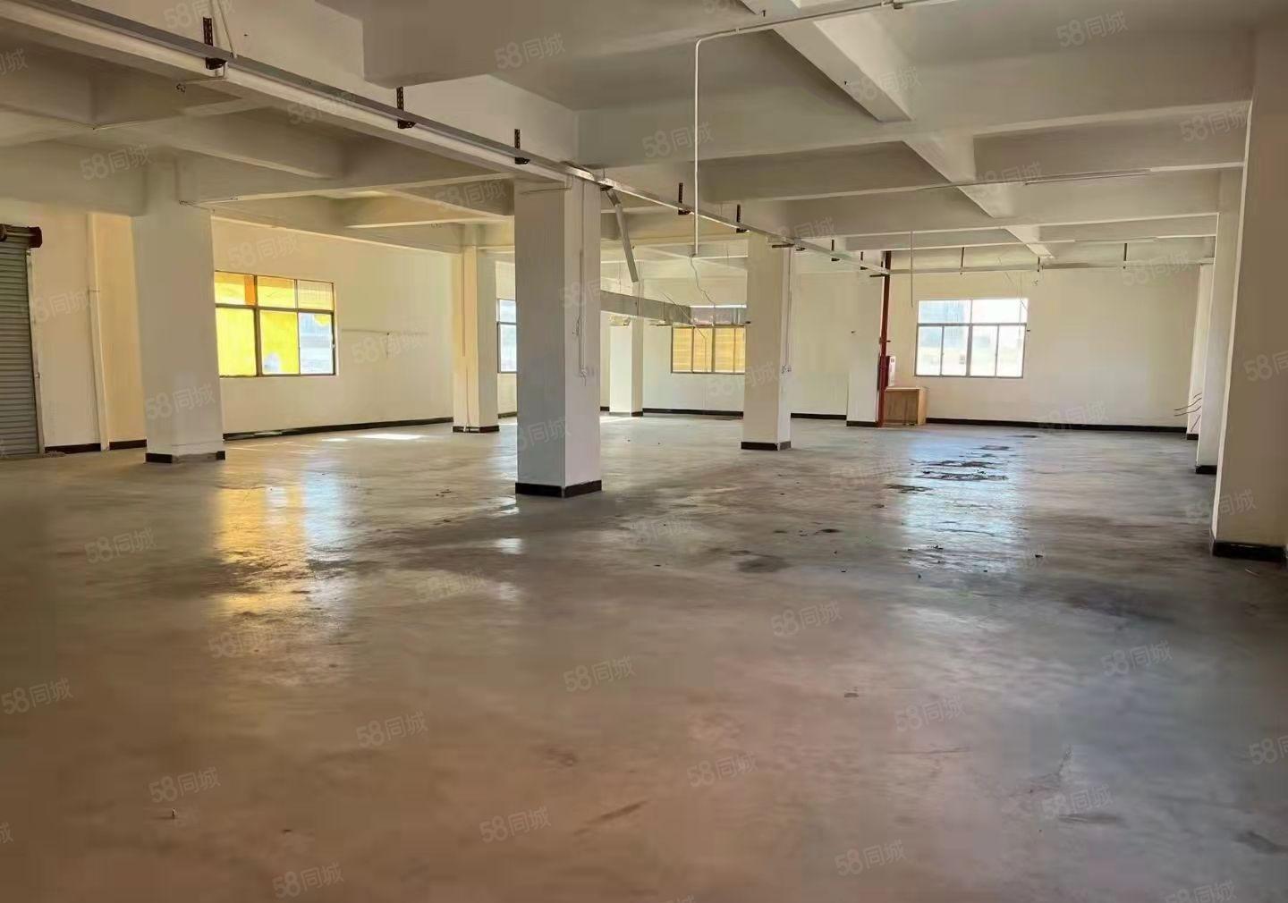 大朗业主自有厂房200平至600平招租毛织厂加工厂仓库