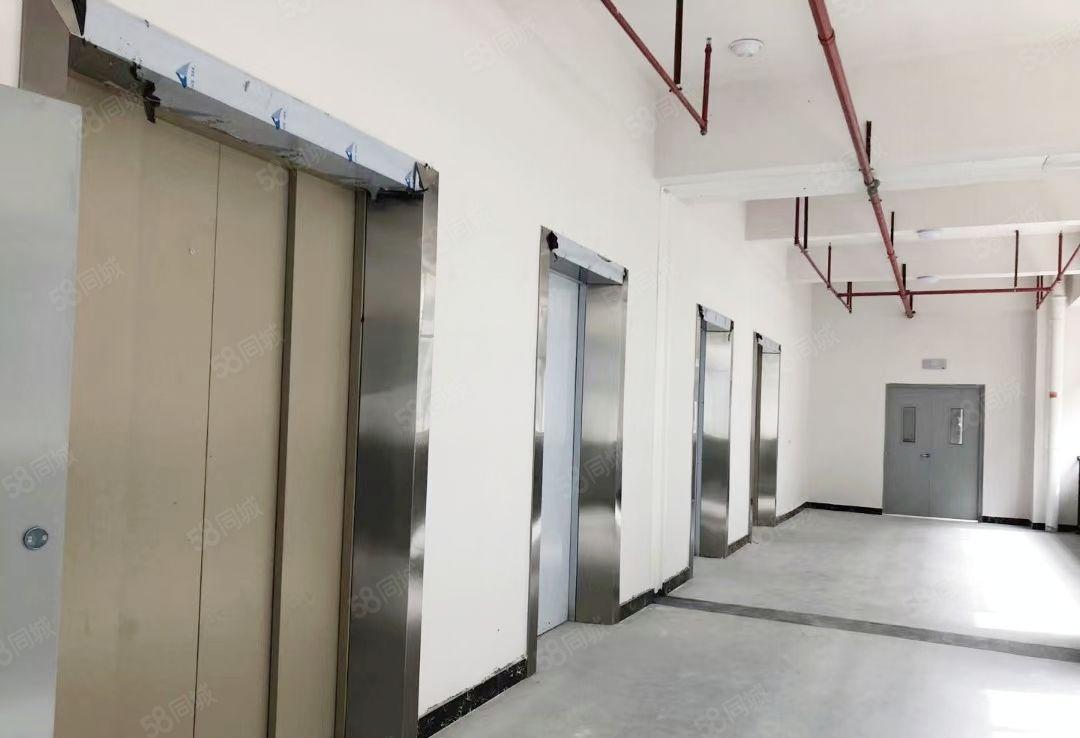 大朗花园式独院厂房17800平