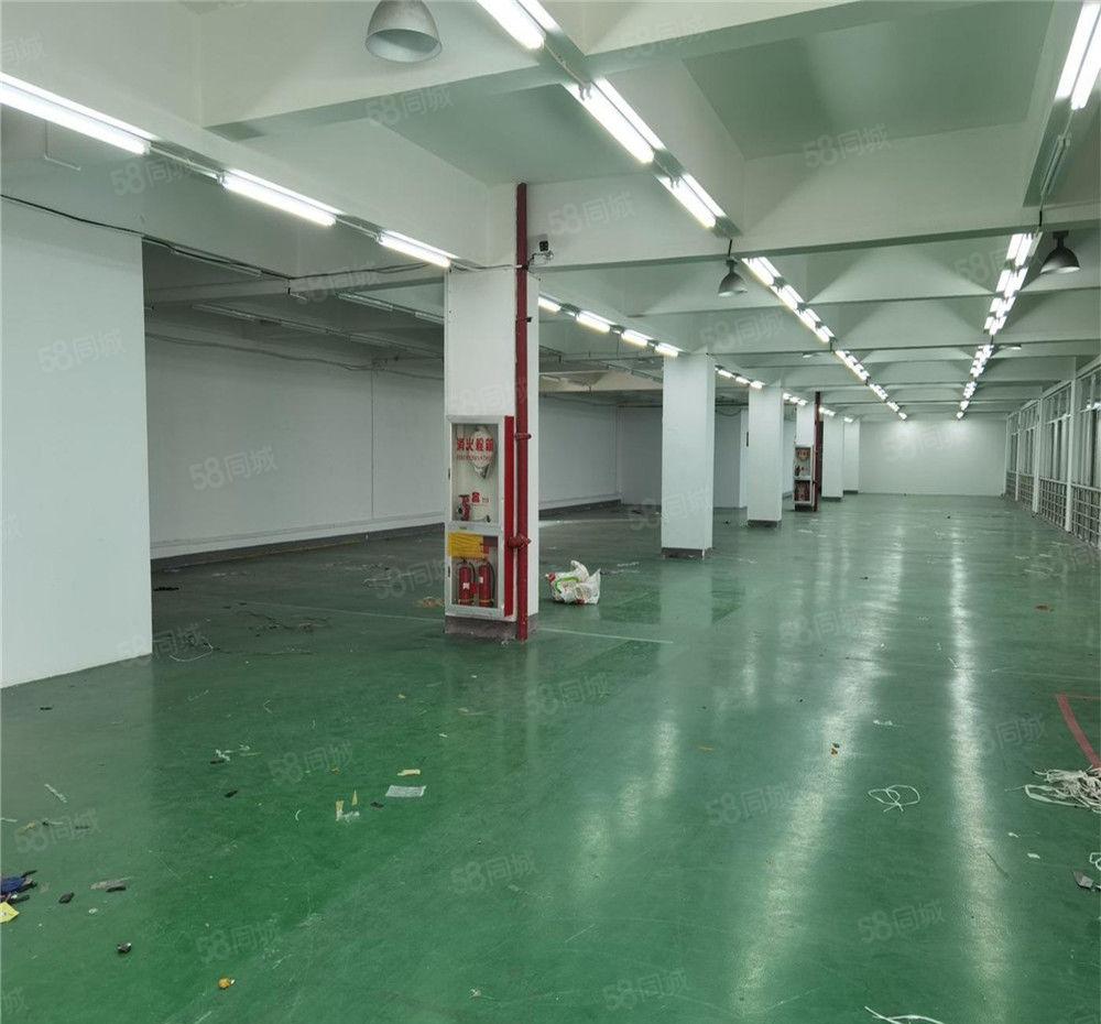 大朗厂房出租3楼1280方，地坪漆带办公室，仓库电商等多行