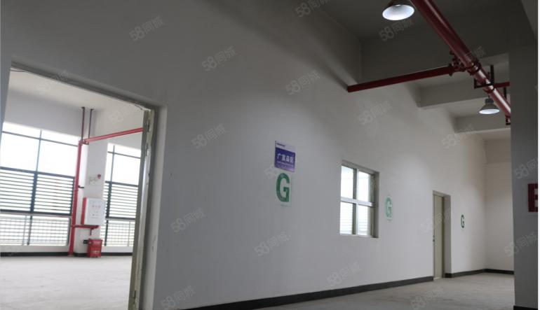 东莞 大朗 原房东 1000平 全新厂房出租