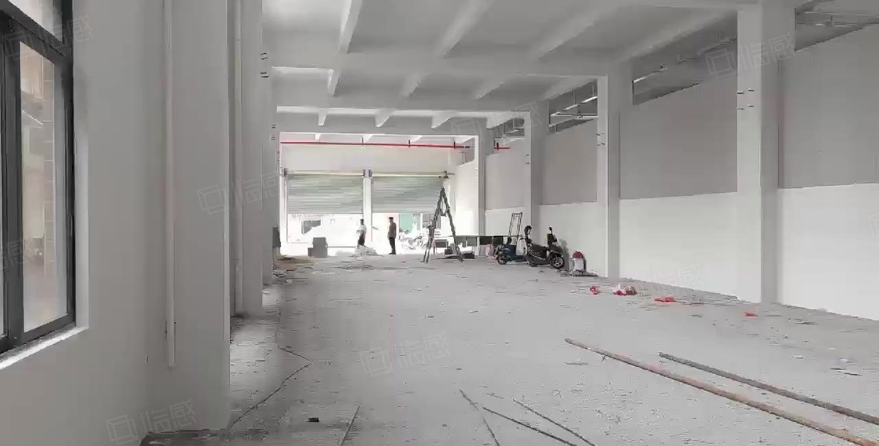 大朗水平工业园区一楼700平，高度7米，适合多种行业