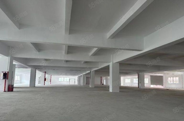 大朗湾区智谷富民路地铁口1020独院厂房出租可分租！