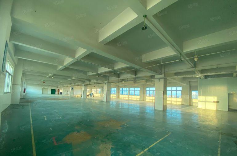 急租大朗楼上地坪漆精装修天花吊顶合适电子五金贸易注塑