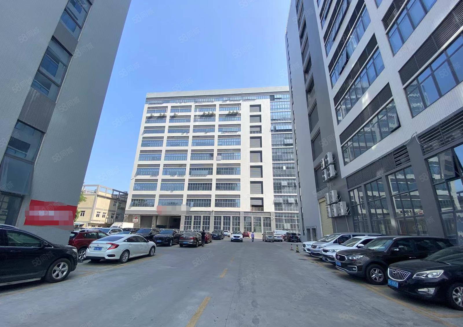 大朗高速路口旁新出五楼1000平厂房出租 水电齐全价格便宜