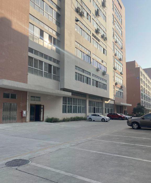 6米高！大朗一楼1600平标准带精装修厂房出租，水电齐全