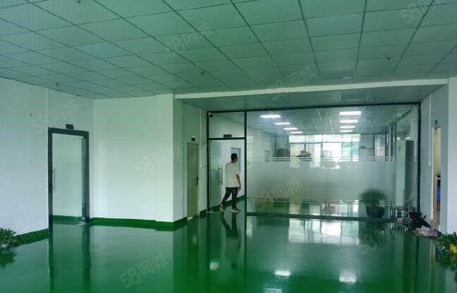 年底清盘 大朗黎贝岭新出二楼600平方厂房仅租9元