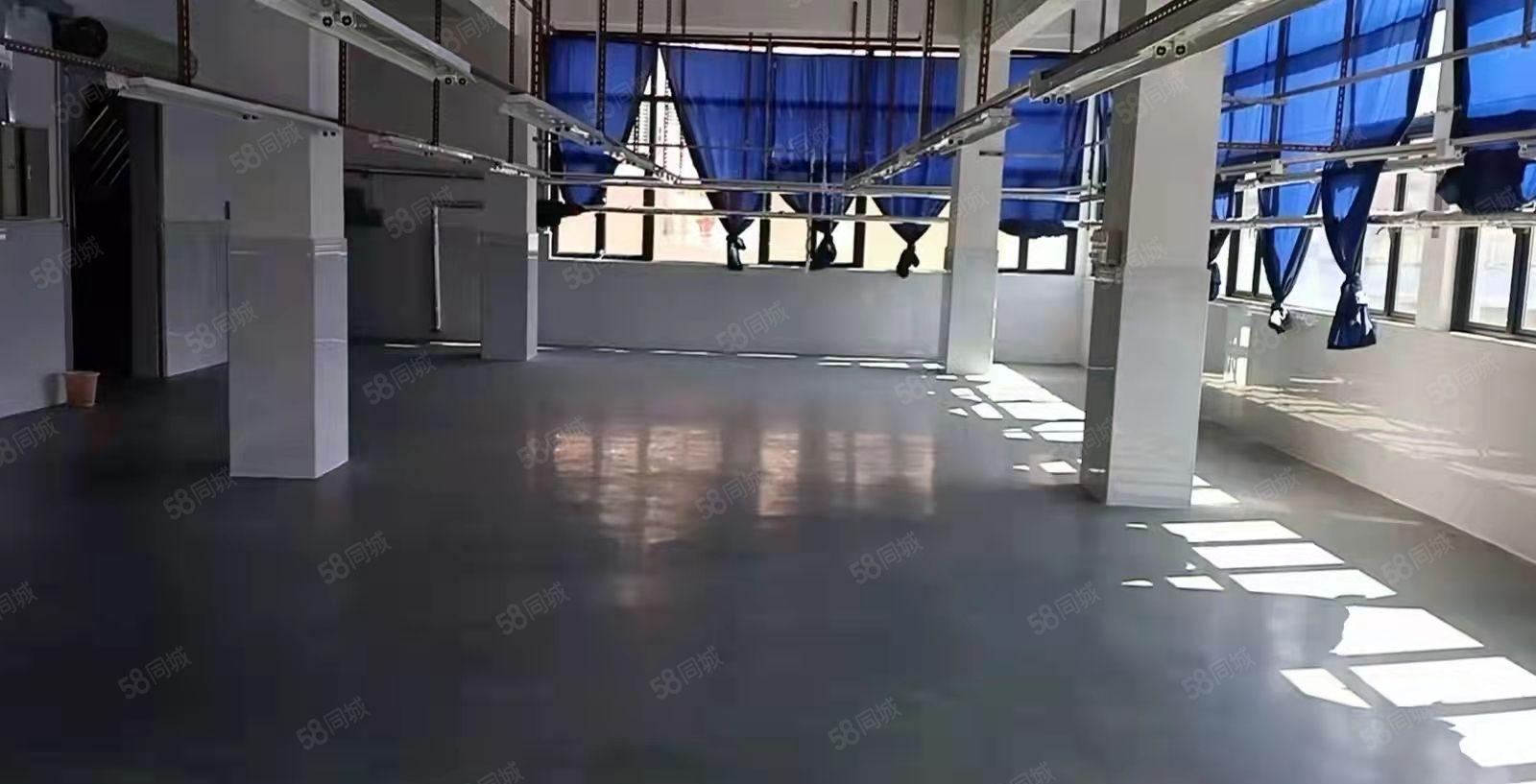 大朗自有厂房200平至1000平招租水电齐全