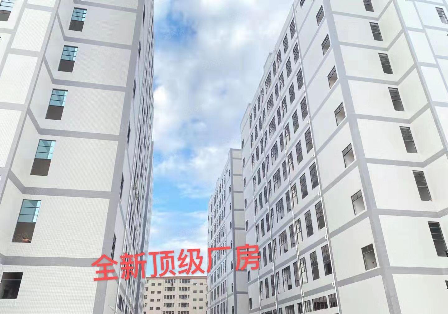 松山湖原房东花园式厂房总面积80000平方，大小分租