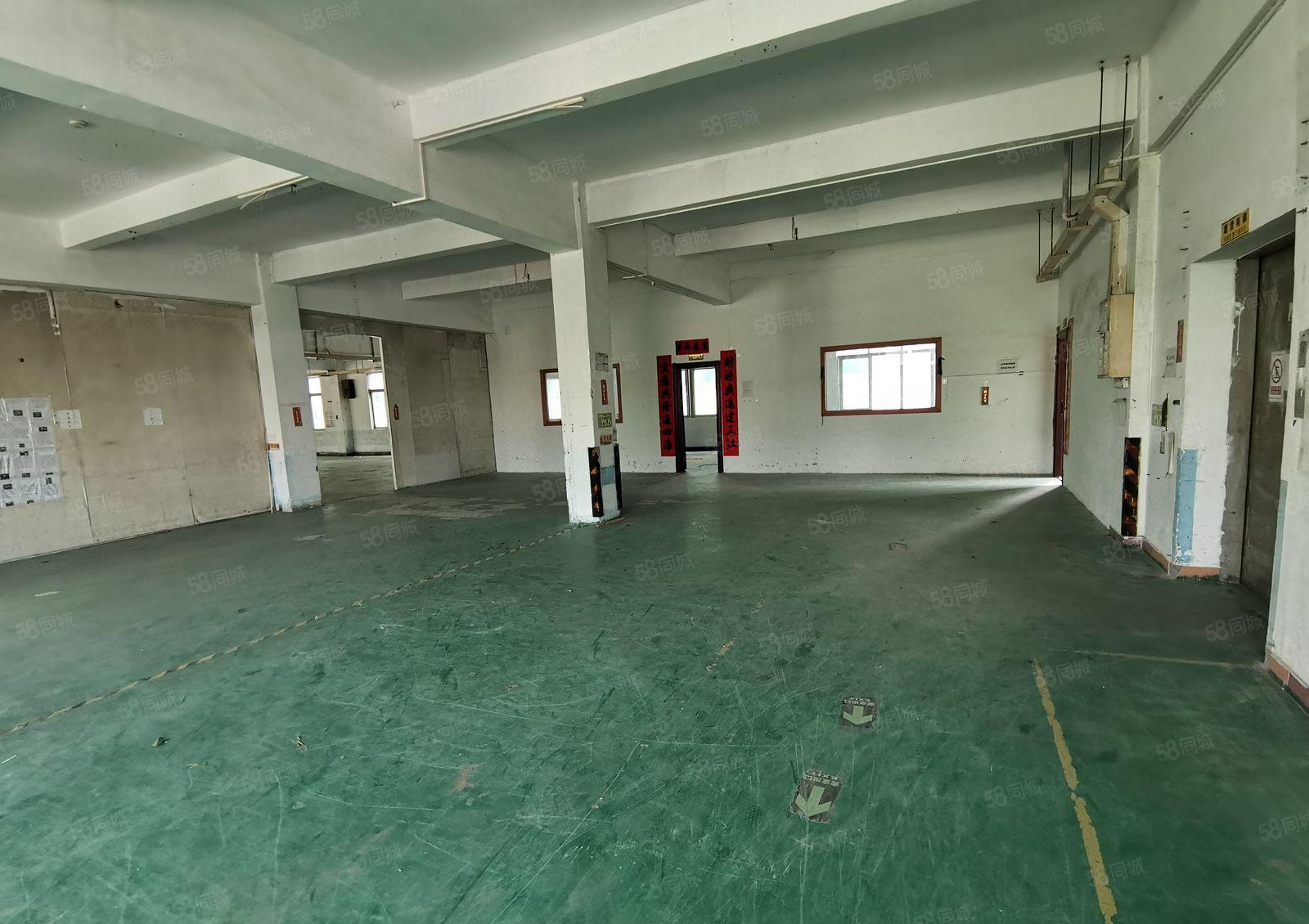 独院两层厂房宿舍5000平方米出租