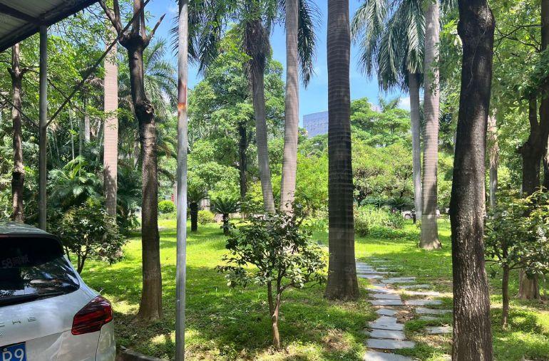 东莞松山湖，红本花园式厂房，总面积77000