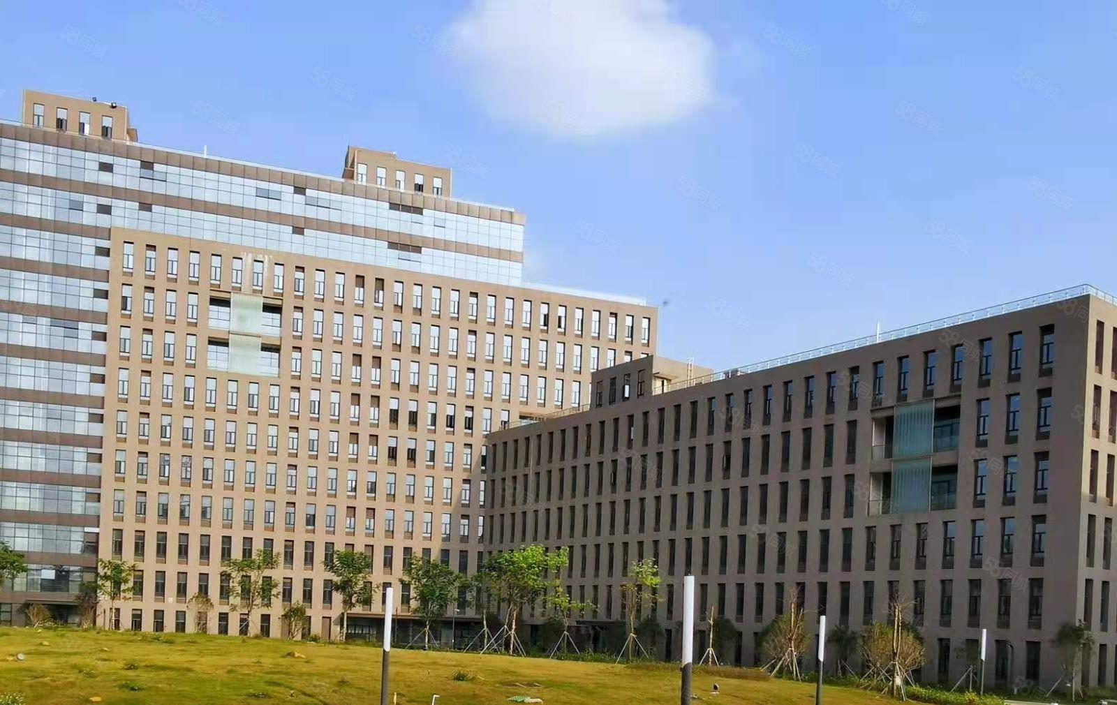 松山湖全新原房东一手红本科技园招商，实际面积出租，可申请补贴