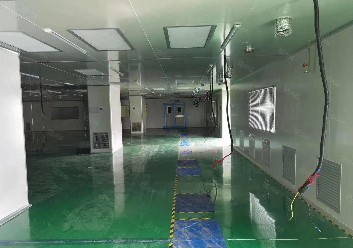 松山湖独院（带环评）厂房单层2680平