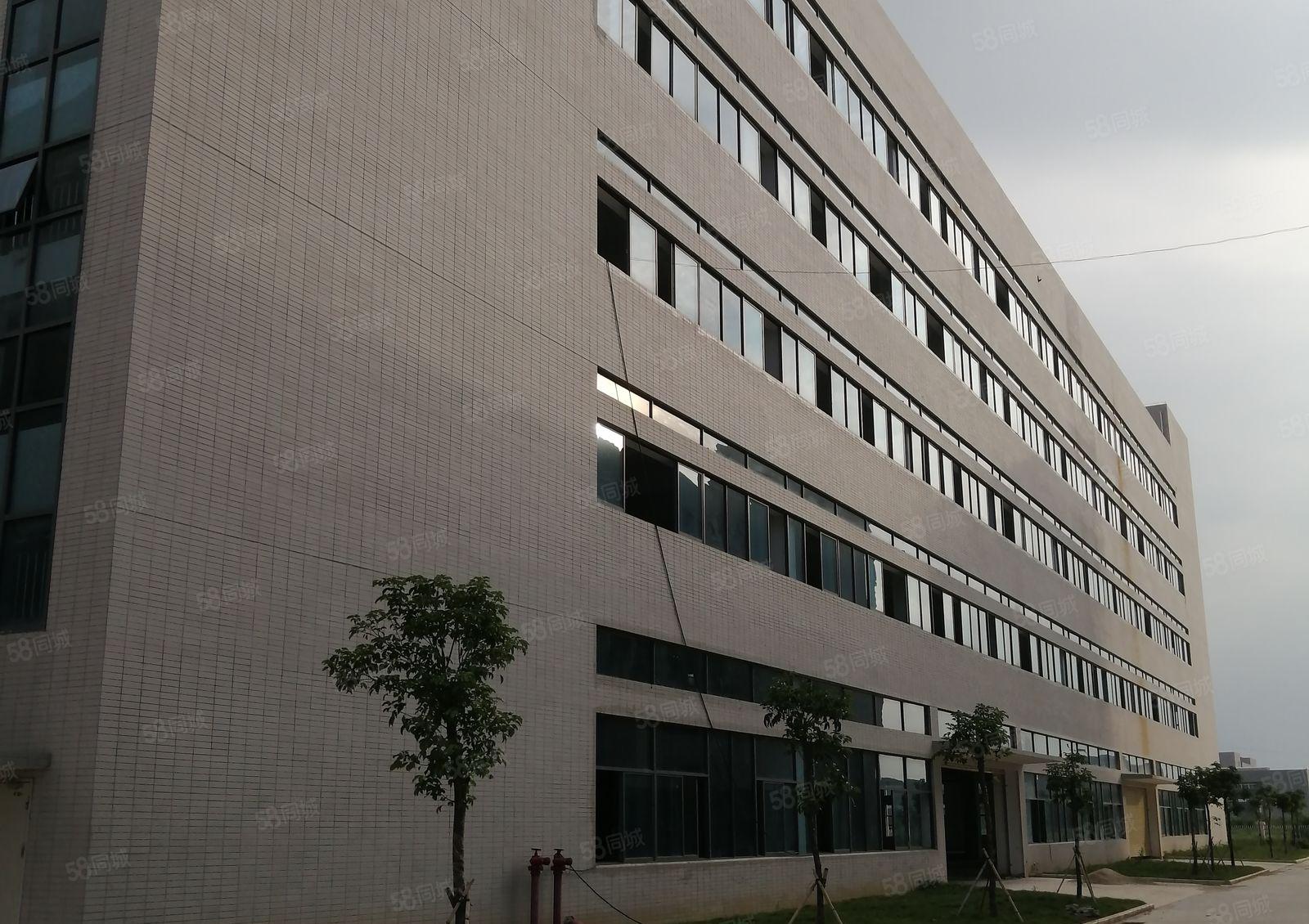 松山湖高新区精装修独院红本重型厂房20000方，大小分租！