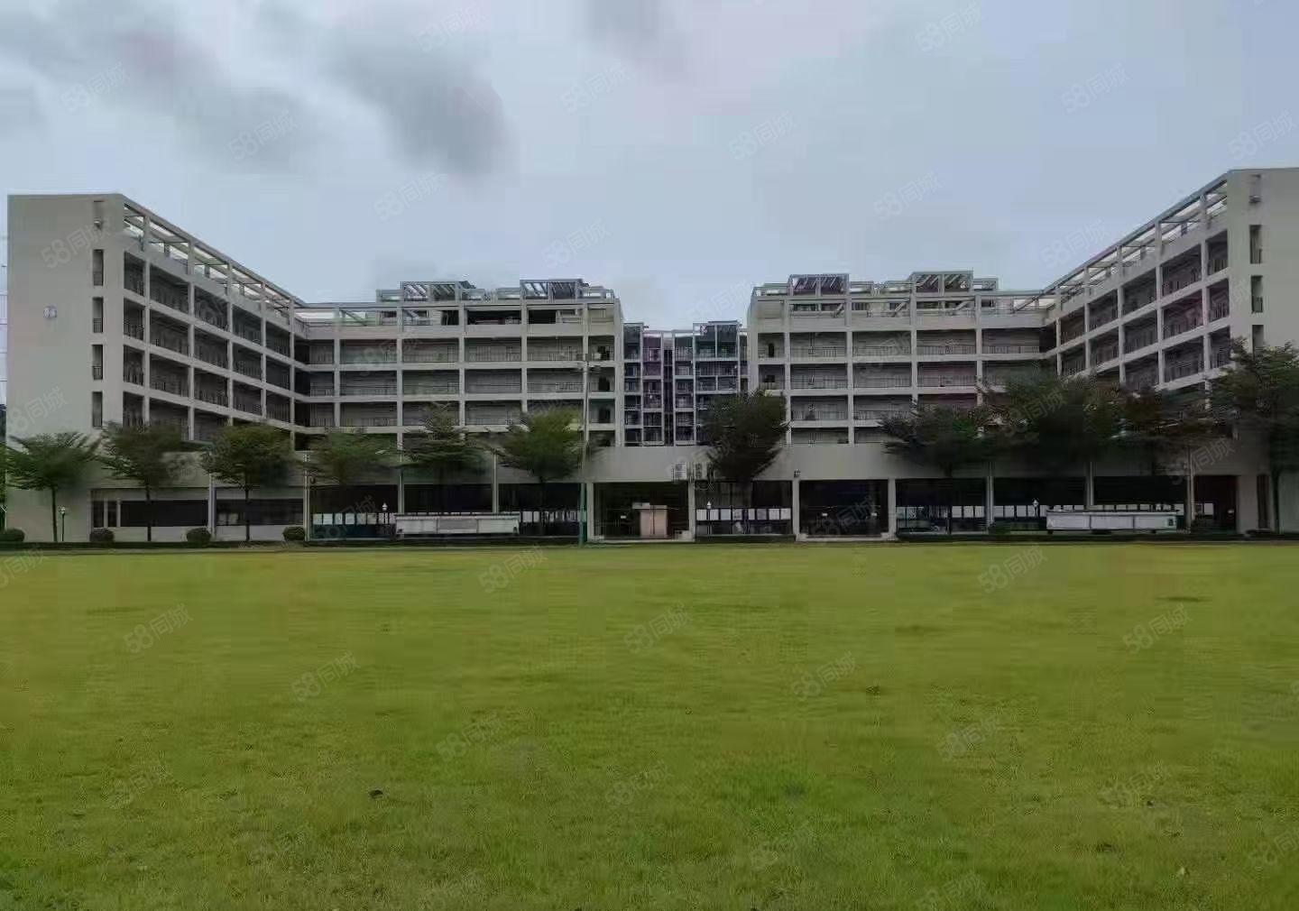 松山湖新出国有双证独院厂房150000平方，起分7000平方