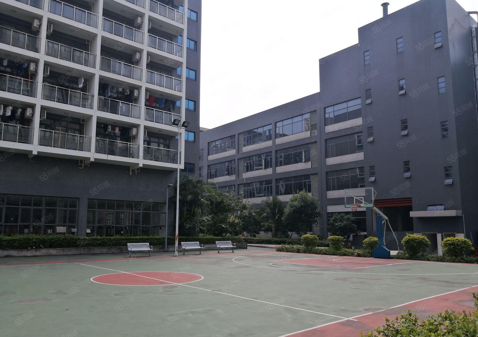 松山湖华为总部附近红本重型厂房12000方带豪华装修分租！！