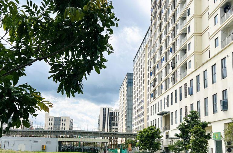 松山湖区域石大路高速路口原房东全新红本花园式出租500平起租