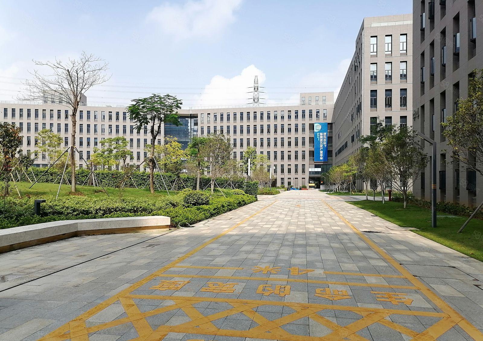 松山湖全新原房东红本综合楼招商，现成装修水电齐全，可申请补贴