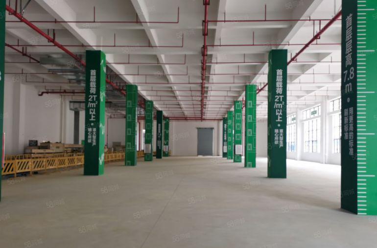 出租 松山湖厂房出租 M1厂房出租 半导体芯片厂房出租