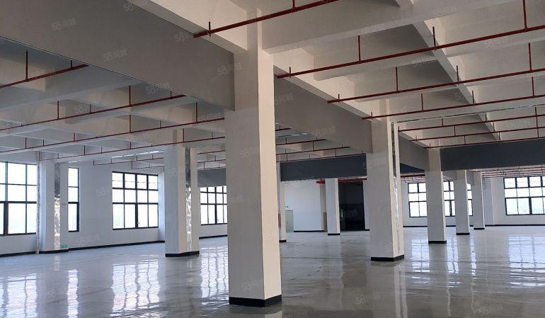 松山湖 天安云谷 厂房出租 厂房 仓库 无尘车间 独院小厂房