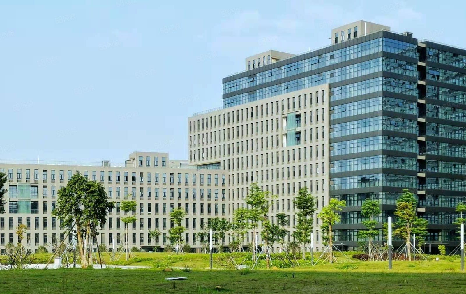 松山湖靠近龙大高速路口新出高薪产业园45000平面积可分租