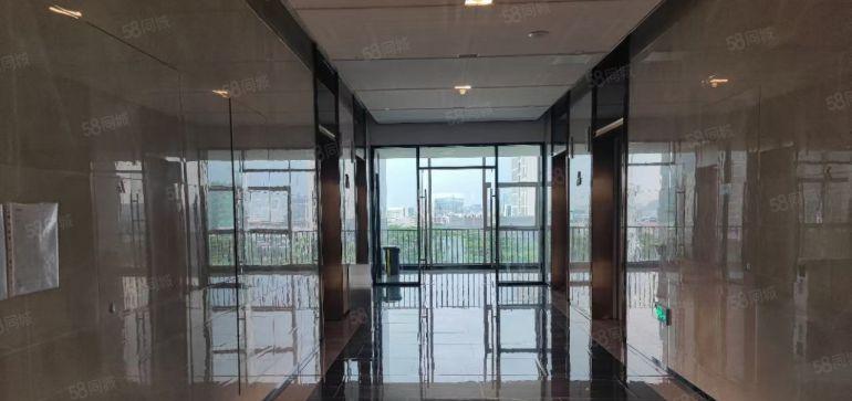 松山湖高标准厂房大堂走廊已装修形象好企业总部新能源产业