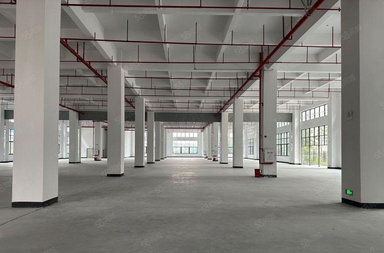 原房东松山湖全新工业厂房出租，大小面积可分租，可办环评