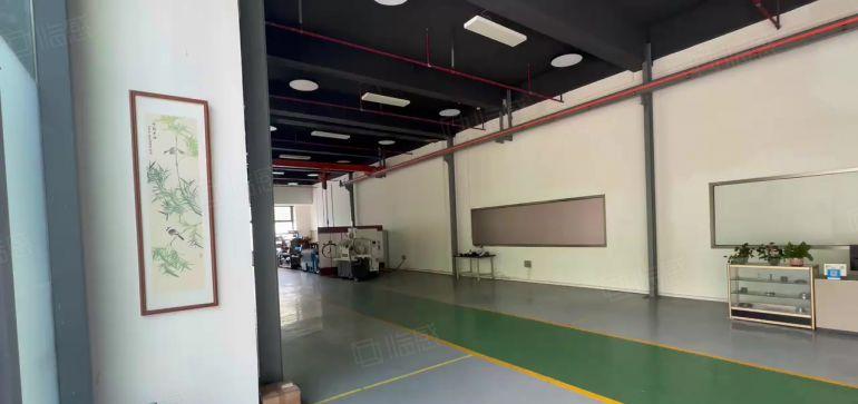 松山湖精选独院 免租金8个月  价格可面议 300到1000