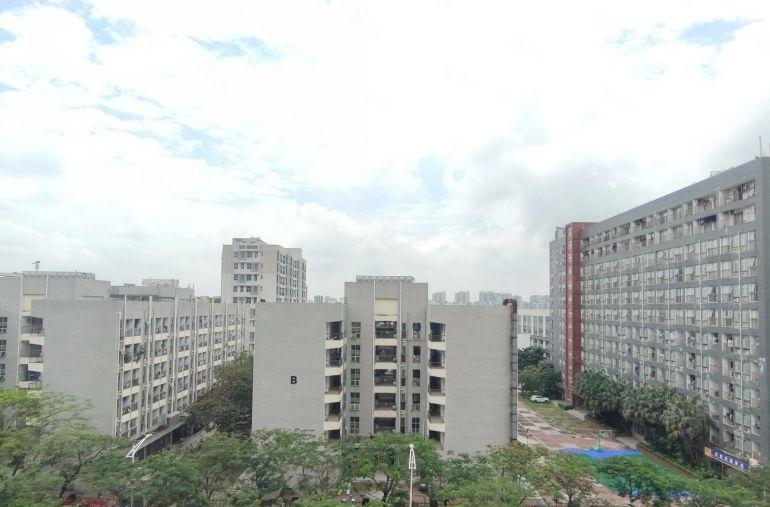 标准厂房！配套齐全！酷派科技生态园业主直租！！！！