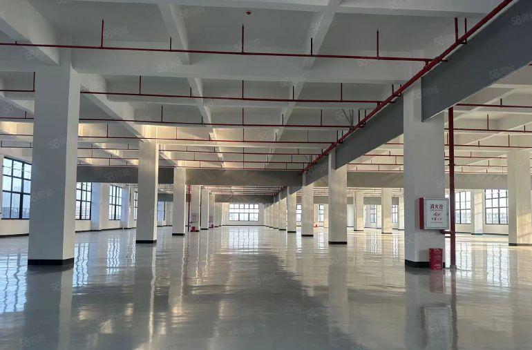 松山湖龙正科创中心1980平全新厂房特价精装交楼
