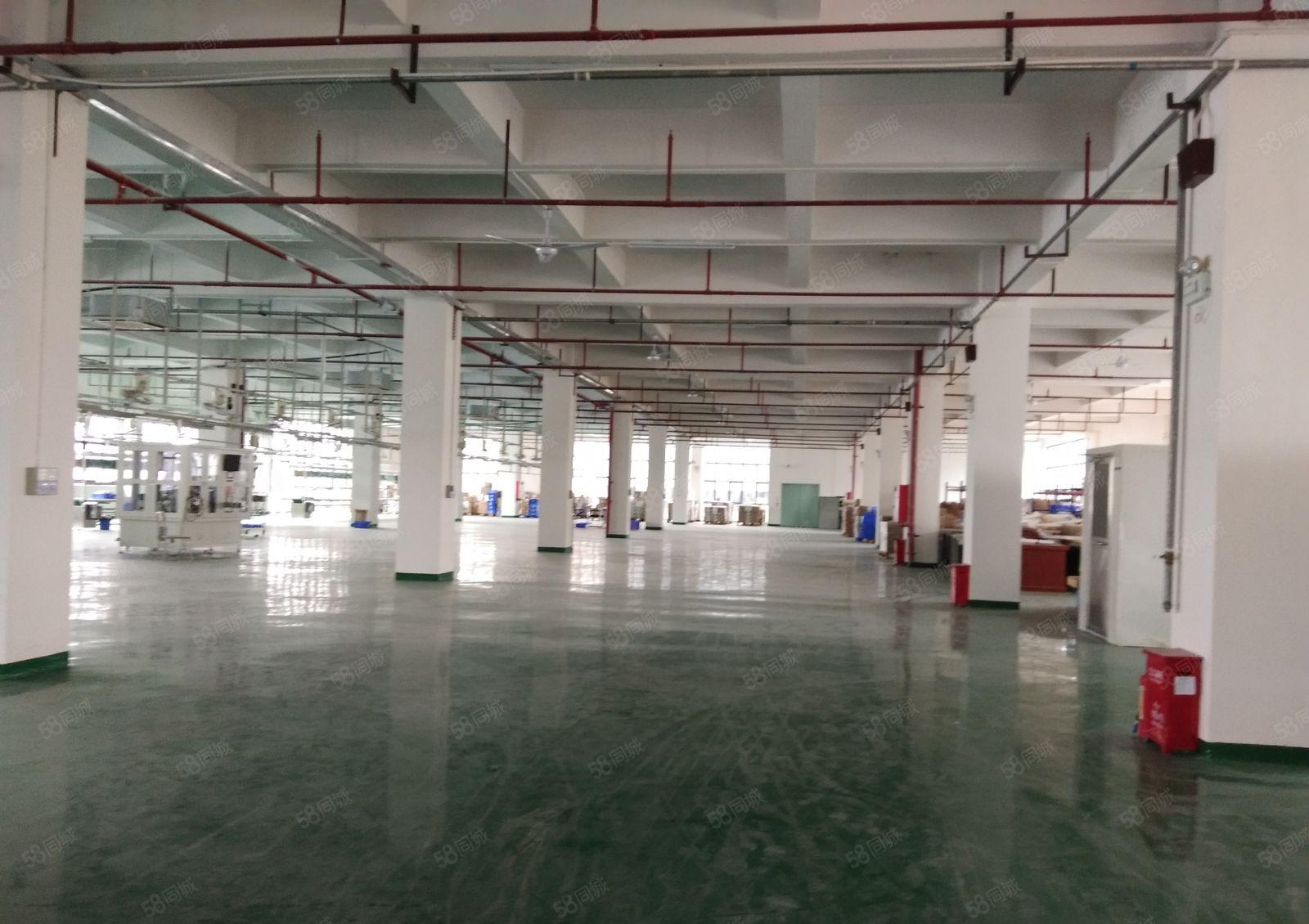 松山湖高薪企业4500平方厂房招商