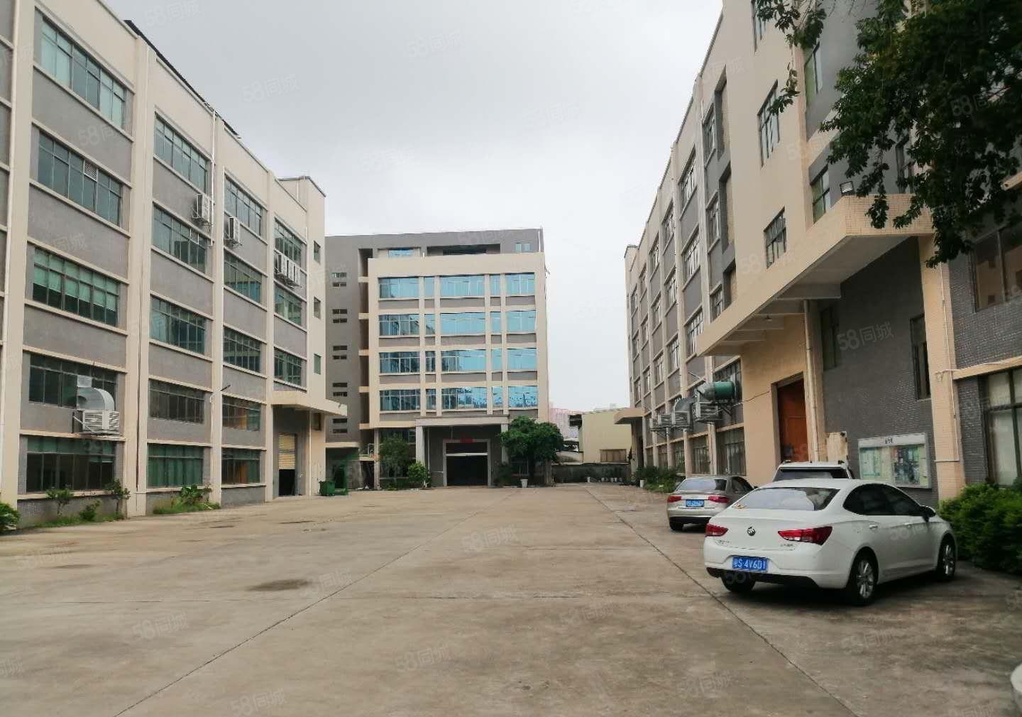 松山湖独院（带环评）厂房单层2680平