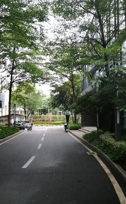 松山湖少量独栋带装修研发办公1000至3000方出租，条件好