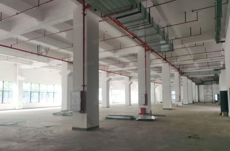 松山湖全新工业厂房出租300平方米起租，生物药物大数据园区