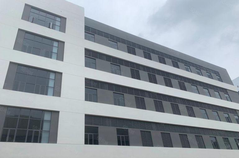 原房东松山湖全新工业厂房出租，大小面积可分租，可办环评