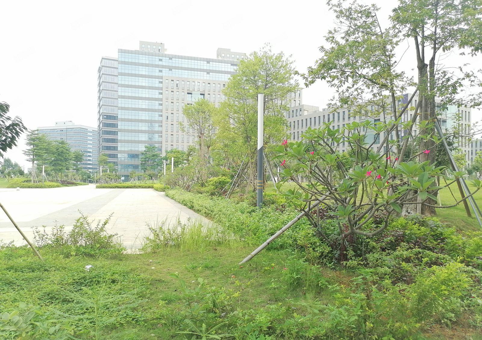 松山湖全新综合楼招商，可以申请高新补贴，靠近深圳，交通便利。