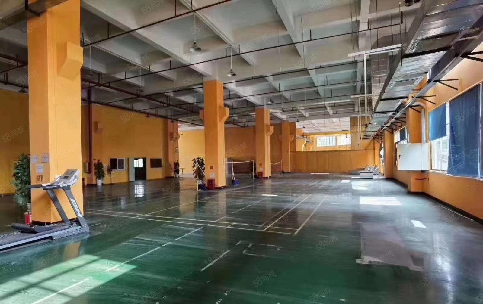 松山湖独院（带环评）厂房单层2680平