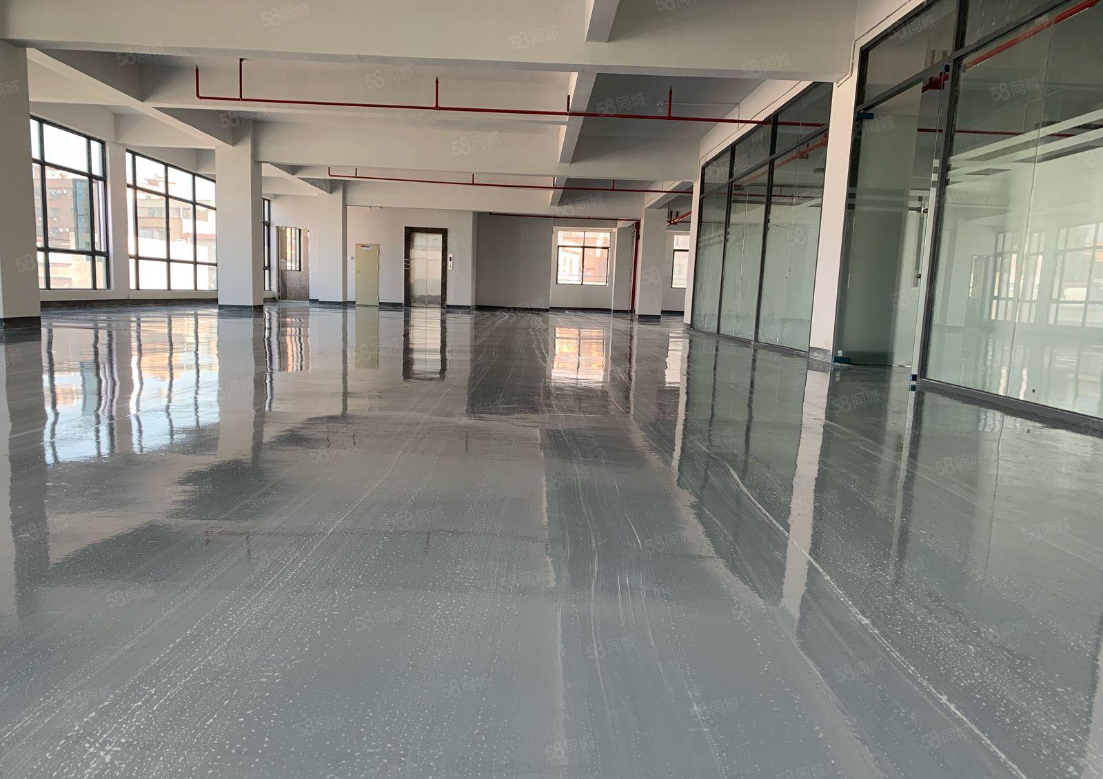 松山湖独院厂房金园科创1000平米带5吨货梯精装出租