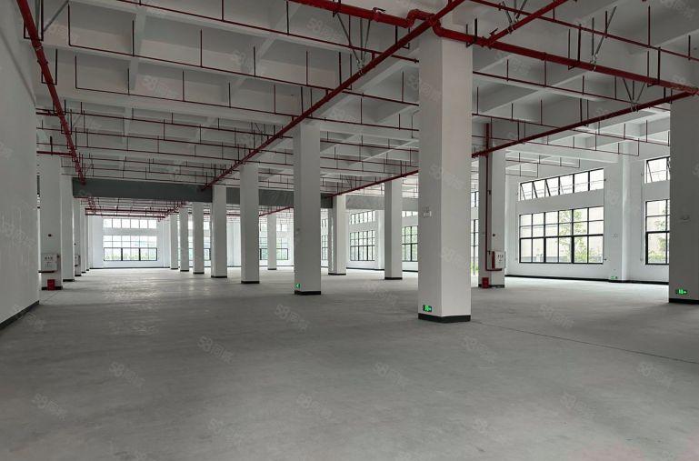 原房东松山湖全新工业厂房出租，大小面积可分租，可办环评