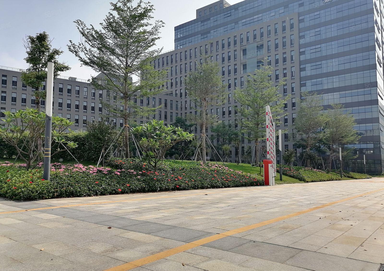 松山湖全新原房东红本综合楼招商，现成装修水电齐全，可申请补贴